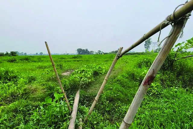 নারায়ণগঞ্জের বন্দর ও সোনারগাঁ উপজেলার তিনটি ইউনিয়নজুড়ে বাঘরী বিলের অবস্থান। রোববার রাতে এই বিলে গ্রামবাসীর পিটুনিতে চারজন নিহত হন। গত সোমবার তোলা